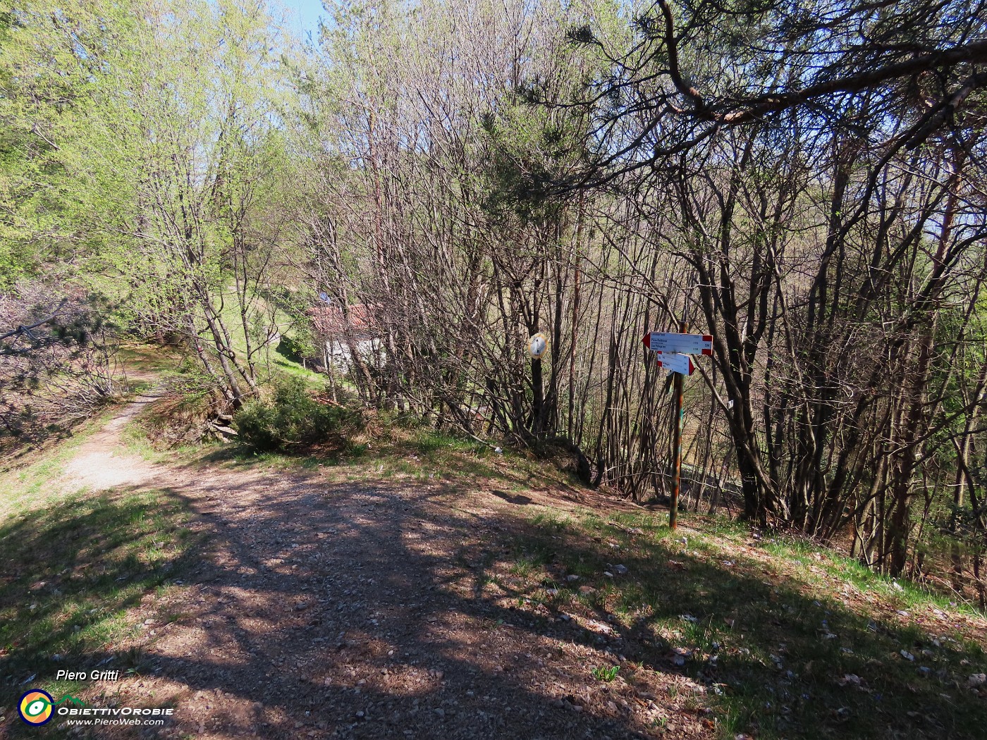 63 Prendo a dx il sent. 594A per Pregaroldi.JPG